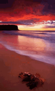 Sunset Sea GIF - Sunset Sea GIFs