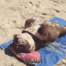 Mex Vaxcom Tired GIF - Mex Vaxcom Tired Sleeping GIFs
