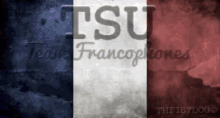 France Flag GIF - France Flag Tsu GIFs