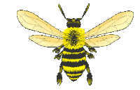 Bee Drawn Sticker