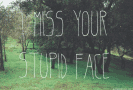 I Miss Your Face GIF - I Miss Your Stupid Face GIFs