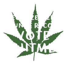 weed election