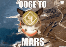 Qoge Doge GIF - Qoge Doge Dogecoin GIFs