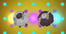a black and white sheep are dancing in front of a yellow background