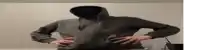 a person wearing a hoodie with a hood on their head .