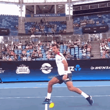 Ivan Dodig Pirouette GIF - Ivan Dodig Pirouette Tennis GIFs