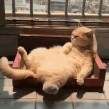 GIF