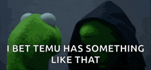kermit the frog is standing next to a person in a hood and says " i bet temu has something like that "