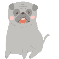 Pug Animal Sticker - Pug Animal Cute Stickers