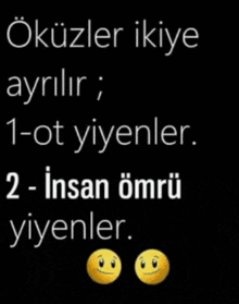a black background with two yellow smiley faces and the words " okullar ikiye ayrilir "