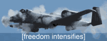 a10 warthog brrrrt freedom jet