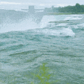 Spazcat Niagara Falls GIF