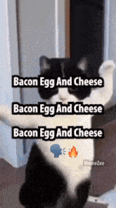 a black and white cat with the words bacon egg and cheese