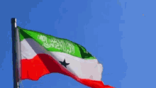 Somaliland Beautiful Flag GIF