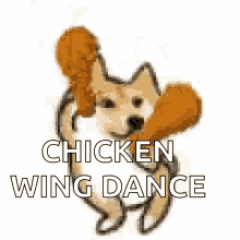 Dancing Chicken GIF - Dancing Chicken Wing GIFs