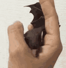 Bat Cute GIF - Bat Cute Lick GIFs