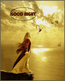 Jóéjszakát Good Night GIF - Jóéjszakát Good Night Birds GIFs