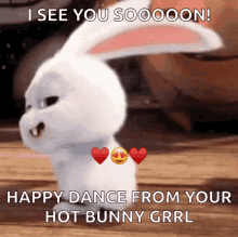 Bunny Happy Dance GIF