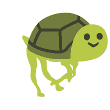 turtle camel