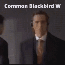 Common Blackbird GIF - Common Blackbird Ww GIFs