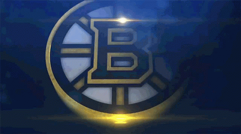 Boston Bruins Linus Ullmark GIF - Boston Bruins Linus Ullmark Jeremy  Swayman - Discover & Share GIFs
