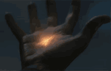 magic hand palm