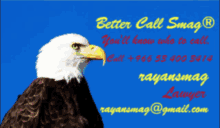Better Call Smag Better Call Saul GIF - Better Call Smag Better Call Saul Bcs GIFs