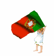 a little boy is holding a portuguese flag up in the air