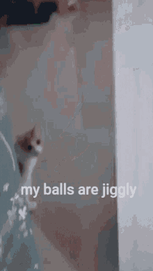 Balls Jiggle Zingus GIF - Balls Jiggle Zingus My Balls Are Jiggly GIFs