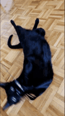 Cat Lying Down GIF - Cat Lying Down Black Cat GIFs