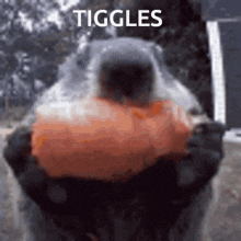 Tiggles GIF - Tiggles GIFs