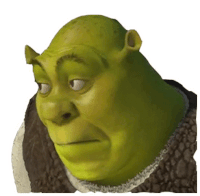 shrek from the movie shrek is looking at the camera with a serious look on his face