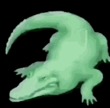 Crocodile Meme GIF - Crocodile Meme S6nako GIFs