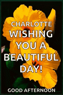 a picture of a yellow flower with the words charlotte wishing you a beautiful day good afternoon .