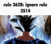 Rule 3628 GIF - Rule 3628 GIFs