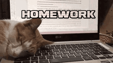 Homework Cats Ruin Everything GIF - Homework Cats Ruin Everything Meme GIFs