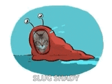 Kitten Slug GIF - Kitten Slug Cat GIFs