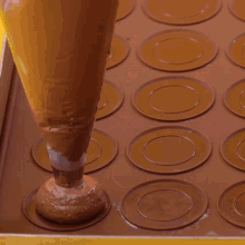 a tray of chocolate covered circles on a yellow table