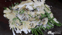 a close up of a plate of food with the words made in animotica on the bottom