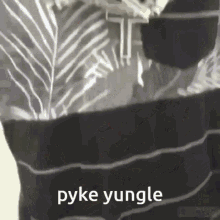 Ayden Pyke GIF - Ayden Pyke Lol GIFs
