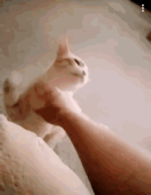 Handshake High GIF - Handshake High Five GIFs