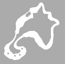 N64 Sherbet Land Map GIF