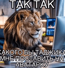 a lion sits at a desk in front of a computer with the words tak tak written above it