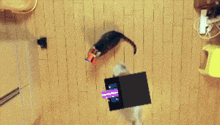 a cat is sitting on a wooden floor with a toy house on its head