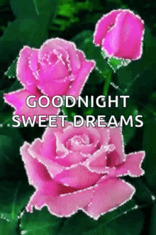 good night sweet dreams sparkles flowers