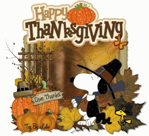 Thanksgiving Charlie Brown Gif