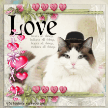 Love Cat GIF - Love Cat Heart GIFs
