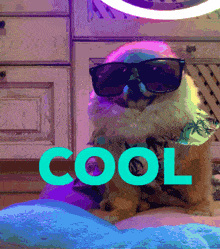 Cool Dog GIF - Cool Dog Puppy GIFs