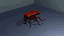 a 3d model of a cockroach crawling on a purple surface