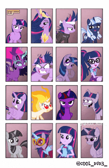 a collage of twilight sparkle ponies with the hashtag cool_dud3_ at the bottom